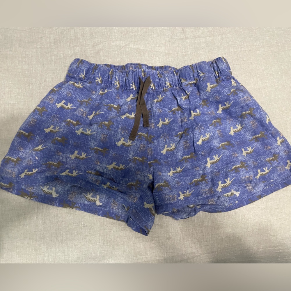 Patagonia Shorts